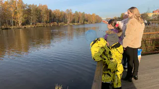 Судьба дарит удачу: кому из знаков Зодиака 14 ноября 2025 года стоит рискнуть