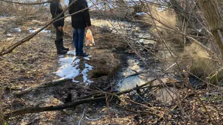 Во Владимире выявили сброс сточных вод в промышленной зоне