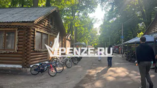 Половина зон отдыха в области оказалась не благоустроена