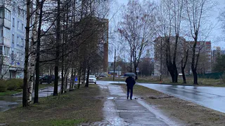 Жителей Коми 16 мая в большинстве районов ждут серое небо и дождь