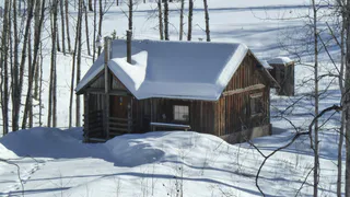 Нужно срочно ехать на дачу! 5 дел, которые нельзя откладывать до весны, иначе урожая не будет