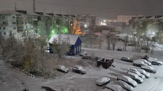 "Май подложит нам всем большую свинью": синоптики прогнозируют одно из сильнейших похолодание весной