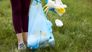 В Челябинске активисты Волонтерской Роты совместно с молодежью провели субботник в Городском бору