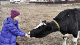 В Нижнекамском районе в 2026 году спроектируют крупный молочный комплекс