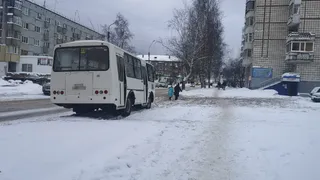 То пар, то холод: какие аномалии ждут эту зиму