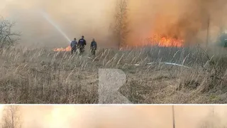 В Путятинском районе выгорела трава на площади 10 га