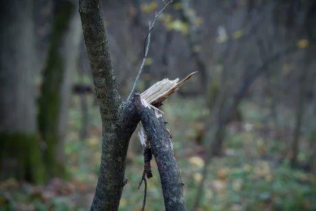 Приметы и запреты на 19 апреля: незамужним женщинам сегодня стоит боятся этого...