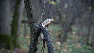 Приметы и запреты на 19 апреля: незамужним женщинам сегодня стоит боятся этого...