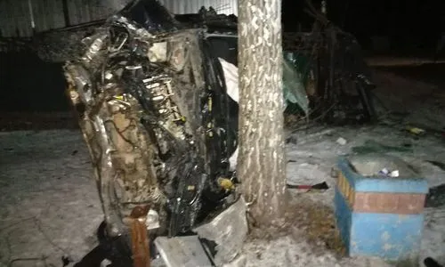 Пьяный нижнекамец врезался в дерево