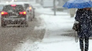 Брянцев просят отказаться от поездок на машинах на время снегопада