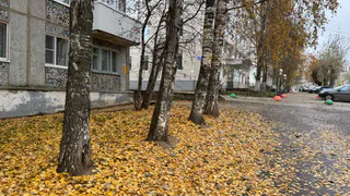 В Коми 31 октября ожидаются осадки и понижение температуры