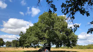 Внимание! В Рязанской области объявлен оранжевый уровень опасности