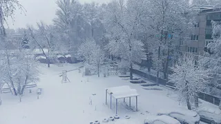 Аномальная жара нагрянет в январе: синоптики сообщают о сюрпризах, которые ожидаются в середине зимы