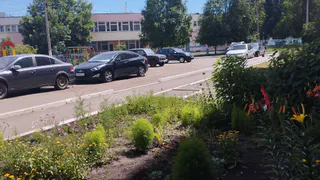 В Рязани внезапно упавшее дерево придавило припаркованные автомобили