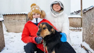 В приют для животных волонтёры привезли 200 килограмм корма