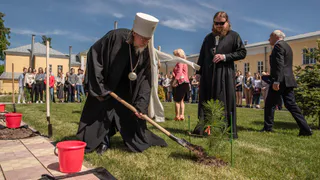 В парке им. Полонского появилась Императорская аллея