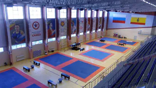 В субботу в Рязани откроется центр спортивных единоборств
