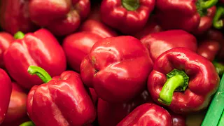 Устойчивый сорт перцев "Бабкин язык": идеальный выбор для огородников