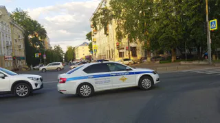 В Рязани мать избитого ребенка умоляет помочь найти злоумышленников