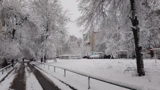 Снегопад и до 6 градусов мороза ожидаются в Чувашии 9 декабря