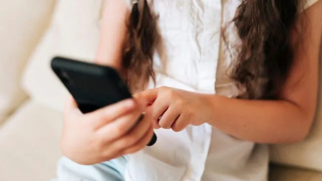 В Челябинске женщины напали на прохожего и отобрали телефон