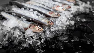 Рыба, которую никогда нельзя подавать ко столу: а мы едим еще и детям даем