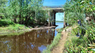 В Коми начали спасательную операцию для озера Выльты