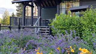 В Коми появятся 14 модульных гостиниц и кемп-стоянка