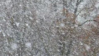 31 декабря во Владимирской области прогнозируются снегопады, гололедица и сильный ветер