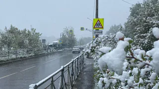 Людям не верится, что так быстро: синоптики назвали точную дату, когда выпадет первый снег