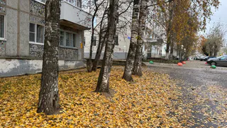 «Выходные устроят нам неприятности». Синоптики составили новый прогноз на 26 и 27 октября