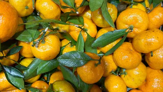 Измененные новогодние каникулы 2024-2025: праздничные дни перенесут из-за обстановки