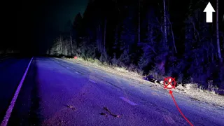 Пострадал водитель: в Коми спортивная иномарка улетела в кювет