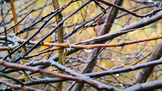 Антициклон сдает позиции: синоптики прогнозируют похолодание и первые весенние дожди