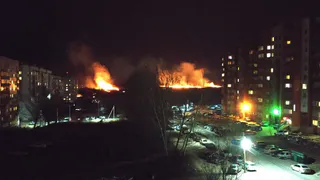 В Песочне загорелись поля