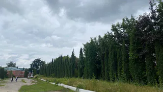 В Солотче пройдет особый субботник