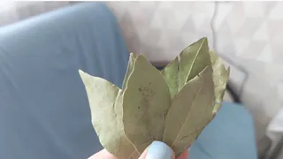 Ушлые хозяйки кладут под ковер лаврушку: так избавляются от надоевших проблем до 2025 года — нужно всего 4 листочка