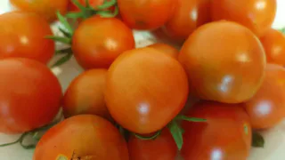 В Нижнекамске открыт сезон весенних сельскохозяйственных ярмарок