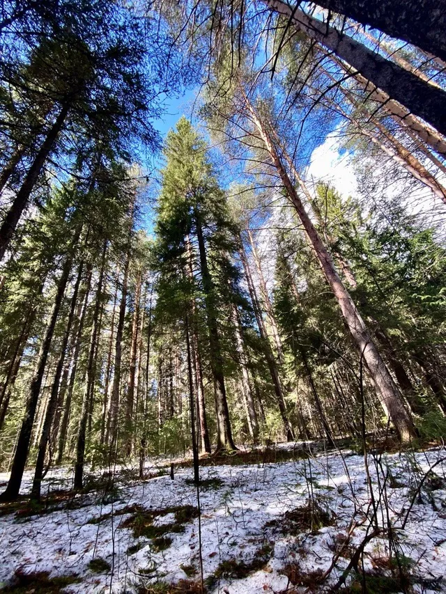 Подвиг одиночки: челябинский экстремал бросил вызов Эвересту