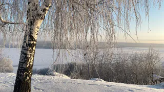 Аномальная жара ожидает россиян: весна придёт неожиданно скоро - такого не было несколько десятилетий