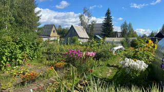 Сгниет всё — и даже кости: 5 способов добиться идеального компоста