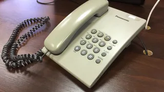 В Рязанской области работает телефонная консультация по выходной недели