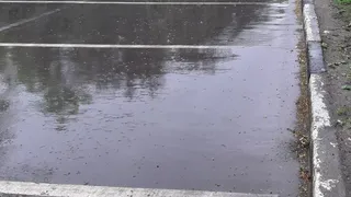 Пасмурно и малооблачно: прогноз погоды на 4 рабочих дня