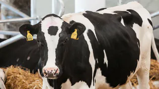 В Татарстане известный фермер похитил из казны 5,5 млн рублей