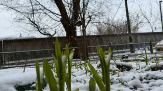 Синоптики прогнозируют тёплый апрель в Рязанской области