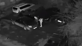 В Канищеве двое рязанцев сливали из автомобилей бензин