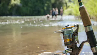 В Рязанской области наказали 49 браконьеров