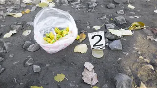 Полицейские задержали жительницу Магнитогорска подозреваемую в организации сети наркотайников