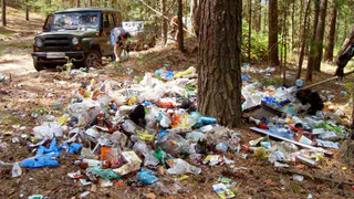 "Очистим лес от мусора": в рязанском лесу собрали более двух тонн различных отходов