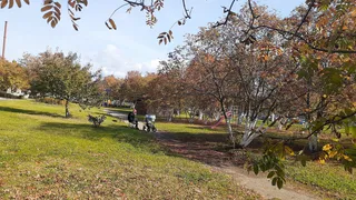 В Рязанской ОДКБ на зону отдыха с качелями и смотровой площадкой выделили 4,7 млн рублей